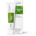 Produktbild: Hamamelis Comp. Salbe