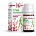 Produktbild: Rhus Toxicodendron D 6 Tabl.bei rheumat.Schmerzen 80 St
