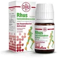 Produktbild: RHUS TOXICODENDRON D 6 Tabl.bei rheumat.Schmerzen 80 St