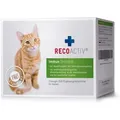 Produktbild: Recoactiv Immun Tonicum für Katzen Kurpackung 3X90 ml