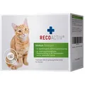 Produktbild: RECOACTIV Immun Tonicum f.Katzen Kurpackung 3X90 ml
