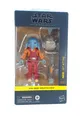 Produktbild: Star Wars Black Series The Skeleton Crew Neel Actionfigur Hasbro F9990 NEU