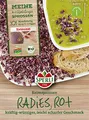 Produktbild: BIO Keimsprossen Radies (rot)