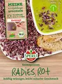 Produktbild: Sperli BIO Keimsprossen Radies (rot) - Sprossen