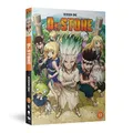 Produktbild: Dr. Stone - Season 1 Complete [DVD]