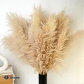 Produktbild: Pampasgras Deko XXL 10 Stück 100cm Hochzeitsboho Tisch