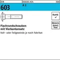 Produktbild: Flachrundschraube DIN 603 Vierkantansatz M8x 25 A 2 100 Stück