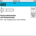 Produktbild: 100er PACK(Stk)  000603920040080025 Flachrundschraube DIN 603 m.Vierkantansatz M