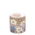 Produktbild: Kerze klein – Candle small – Format: Ø 7,5 cm x 9 cm – Brenndauer: 35 Std. - 1 K