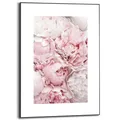 Produktbild: REINDERS Gerahmtes Bild, Pfingstrosen, Wohnzimmer, Bilder, Wanddeko, Room Decor, MDF, Rosa, 70x50cm