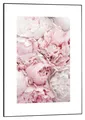 Produktbild: Gerahmtes Bild Wandbild Kunstdruck MDF rosa-weiß 50 x 70 cm