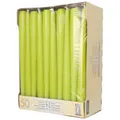 Produktbild: 20 PAPSTAR Kerzen Kiwi / Limonengrün 25 cm