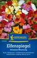 Produktbild: Kiepenkerl Elfenspiegelsamen Nemesia Mischung  für ca 100 Pflanzen - Blumensamen