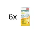 Produktbild: ANGINETTEN Halsspray 2in1 Erw. 6 x 20 ml   PZN 08300130