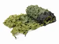 Produktbild: MFH Tarnnetz 2x3m Oliv