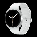 Produktbild: Samsung L320 GALAXY WATCH8 40MM BT SILVER (SM-L320NZSAEUB)