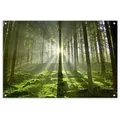 Produktbild: artissimo Garten-Poster, Grün, Kunststoff, Baum/Pflanze/Natur, Rechteckig, 90x60x2 cm, Bilder und Zubehör, Wandbilder, Sonstige Wandbilder