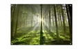 Produktbild: artissimo Poster Garten-Poster 90x60cm Wald Bäume grün Outdoor-Deko, Outdoor-Poster: Wald & Bäume