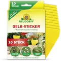 Produktbild: Neudorff Gelbsticker gegen kleine Fliegende Schädlinge wie Trauermücken, insektizid frei, geruchlos, 10 Stück (1er Pack)