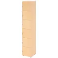 Produktbild: HAMMERBACHER Schließfachschrank ahorn V264L6/3/3/DS, 6 Schließfächer 40,0 x 42,0 x 215,6 cm