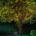 Produktbild: esotec Solar Lichterkette mit 200 warmweißen LEDs wetterfest 102570