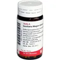 Produktbild: GENTIANA MAGEN Globuli velati 20 g PZN 00081441