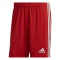 Produktbild: FC Bayern München Herren Shorts, Saison 2022/23 Offizielle, Rot, L