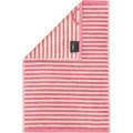 Produktbild: Cawö Handtücher Lines Ringel 6255 - Farbe: beere - 23 - Gästetuch 30x50 cm 251CA1038