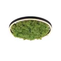 Produktbild: LED Deckenlampe rund D: 39,3 cm echtes Moos 3000 K 2650 lm dimmbar Deckenleuchte