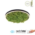 Produktbild: LED Deckenleuchte Island Moos 40cm Switchmo 3 Stufen Dimmung Wandbild Raumklima