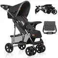 Produktbild: LIONELO Emma Plus Kinderwagen bis zu 15 kg, Kindersportwagen, leicht modern klein Buggy mit Liegeposition, zusammenklappbar, große Räder, großer Korb, Tasche Stone