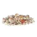 Produktbild: Relaxdays Muschel Deko im Set, XL-Mix mit großen Meeresschnecken, Herzmuscheln, maritime Tischdeko zum Basteln 2kg, bunt