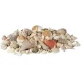 Produktbild: Relaxdays Muschel Deko mit Meeresschnecken 2kg Creme,Hellbraun,Rosa