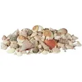 Produktbild: Relaxdays Muschel Deko Im Set, Xl-mix Mit Großen Meeresschnecken, Herzmuscheln, Maritime Tischdeko Zum Basteln 2kg, Bunt