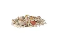 Produktbild: relaxdays Dekoobjekt Muschel Deko mit Meeresschnecken 2kg