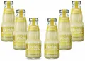 Produktbild: Cocktail Plant Pina Colada (10,1% Vol) 6x 0,2l = 1,2l - inkl. Pfand MEHRWEG- [E