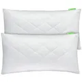 Produktbild: Gentle North Microfaserkissen 2er Set Kissen Komfort in vielen Größen, Füllung: 100% Polyester, Seitschläfer, Rückenschläfer, Seitenschläfer, Comfort, 2-tlg, Reißverschluss für Füllung-waschbar-Made in EU-allergikerfreundlich 50 cm x 80 cm