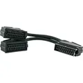 Produktbild: Schwaiger SCART Y-Verteiler 21-polig 20 cm Schwarz