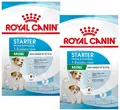 Produktbild: (EUR 7,68/kg)  Royal Canin Mini Starter Mother & Babydog, Aufzuchtfutter 2x 8 kg