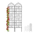 Produktbild: Relaxdays Rankgitter Metall, 2er Set, zum Stecken, Rankhilfe für Kletterpflanzen, 220 x 50 cm, Spalier Garten, schwarz, 10030852_1246