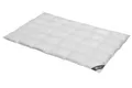 Produktbild: Daunendecke 155x220 cm 100 % Gänsedaunen   Bettdecke Steppdecke Daunen SPESSARTTRAUM GOLD