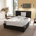 Produktbild: Spessarttraum Daunendecke Gold normal, Füllung: 100% Gänsedaunen 155x220 cm
