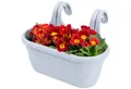 Produktbild: KONZEPT Balkonkasten Balkon Blumenkasten mit Halterung 6,2 L, Balkonkasten für Geländer, Blumenkasten aus wetterfestem Kunststoff