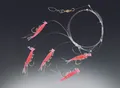 Produktbild: Balzer Mini Shrimp Rig pink 5 Haken Heringspaternoster Heringssystem ABVERKAUF