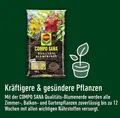 Produktbild: COMPO SANA® Qualitäts-Blumenerde, Topferde 10 Liter