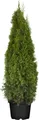Produktbild: Thuja occidentalis 'Smaragd' 120-140 cm – Winterhart, Immergrün, Pflegeleicht – Lebensbaum – Heckenpflanze für Garten & Sichtschutz