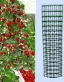 Produktbild: BALDUR Garten Kletter-Erdbeere 'Hummi®' und Dekorativer Rankturm;1 Set Erdbeere mit Rankhilfe, schnellwachsende Klettererdbeeren, selbstfruchtend, winterhart, extra lange & starke Ranken, blühend