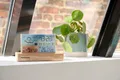Produktbild: Thomson CT600 Wetterstation aus Holz mit drahtlosem Sensor und zwei Alarmen