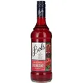 Produktbild: Bols Grenadine Syrup 0,75l