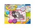 Produktbild: Ravensburger Malen nach Zahlen Ravensburger Malen nach Zahlen Kuschelkatzen 120x85mm